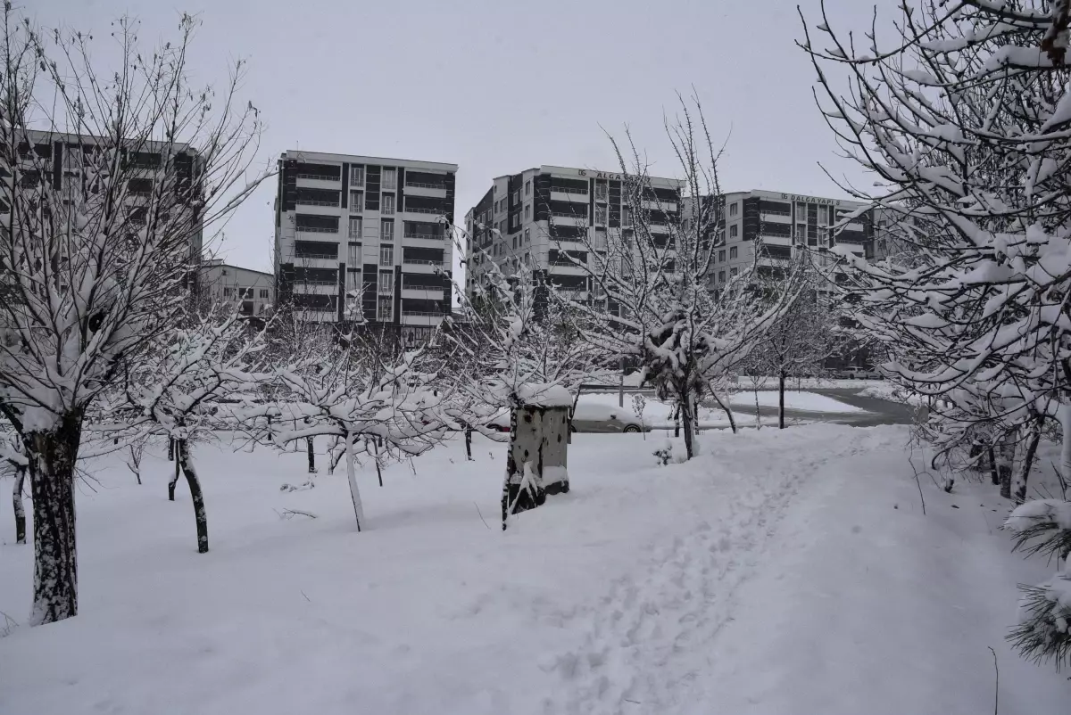 Bitlis’te 165 köy yolu kapandı