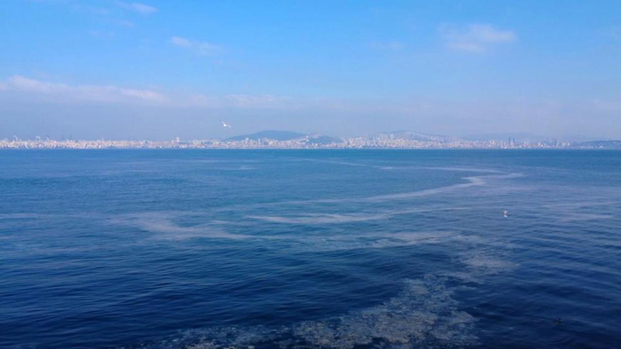 Marmara Denizi’nde müsilaj yeniden görüldü