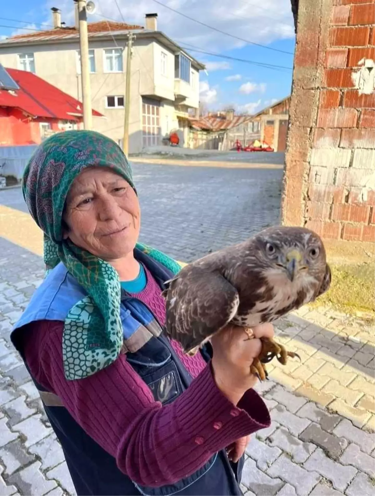 Yaralı Şahin’e Köylüler Sahip Çıktı